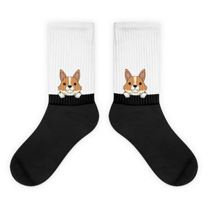 Corgi in a Sock!